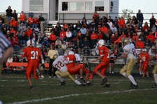 Enlarge photo 195