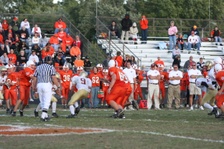 Enlarge photo 202