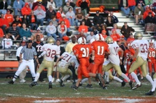 Enlarge photo 203