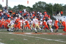 Enlarge photo 206