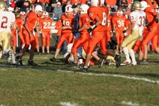 Enlarge photo 215