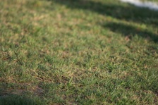 Enlarge photo 229