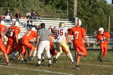 Enlarge photo 231