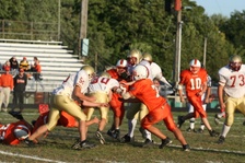 Enlarge photo 235