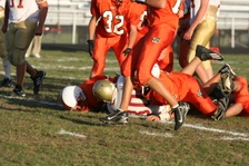Enlarge photo 238