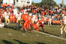 Enlarge photo 241