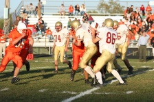 Enlarge photo 251