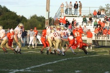 Enlarge photo 268