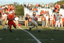 Enlarge photo 272