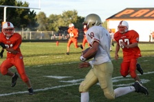 Enlarge photo 276
