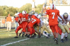 Enlarge photo 292