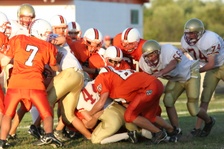 Enlarge photo 294
