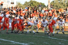 Enlarge photo 302
