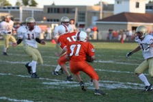 Enlarge photo 313