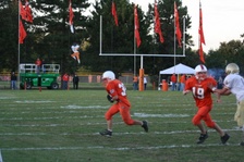 Enlarge photo 318