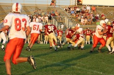 Enlarge photo 98