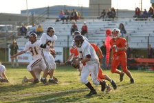 Enlarge photo 41