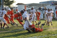 Enlarge photo 42