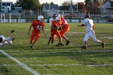 Enlarge photo 51