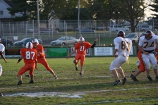 Enlarge photo 55