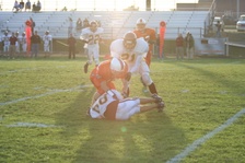 Enlarge photo 57