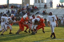 Enlarge photo 58