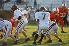Enlarge photo 59