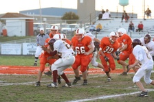 Enlarge photo 84