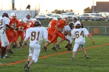 Enlarge photo 93