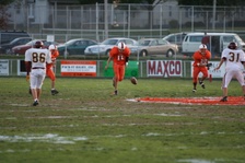 Enlarge photo 98