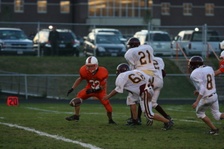 Enlarge photo 115
