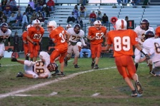 Enlarge photo 145