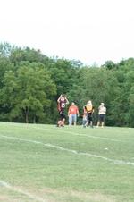 Enlarge photo 226
