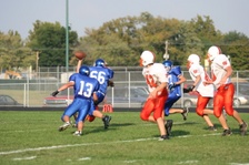 Enlarge photo 47