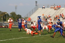 Enlarge photo 172