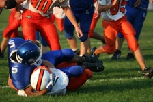 Enlarge photo 197