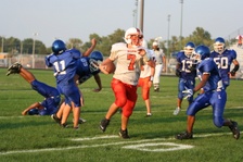 Enlarge photo 223
