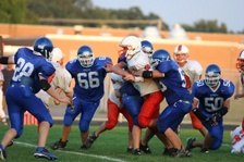 Enlarge photo 307