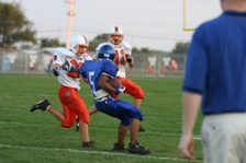 Enlarge photo 330