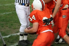Enlarge photo 41