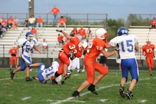 Enlarge photo 45