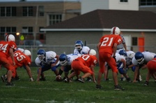 Enlarge photo 119