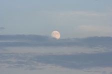 Enlarge photo 139