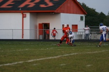 Enlarge photo 172