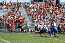 Enlarge photo 49