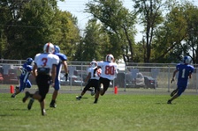 Enlarge photo 73