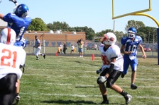Enlarge photo 127