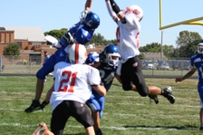 Enlarge photo 128