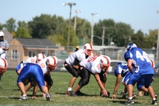 Enlarge photo 149