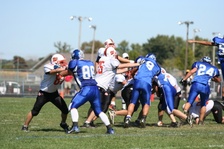 Enlarge photo 152